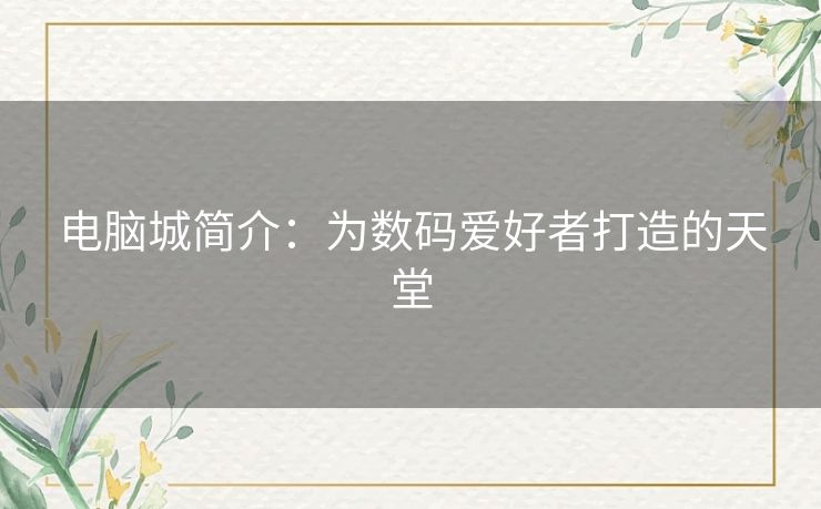 电脑城简介：为数码爱好者打造的天堂