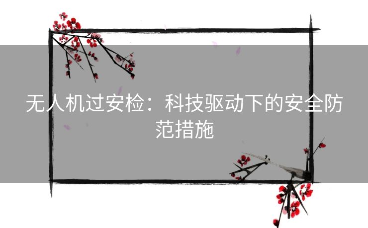 无人机过安检：科技驱动下的安全防范措施