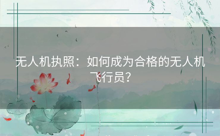 无人机执照：如何成为合格的无人机飞行员？