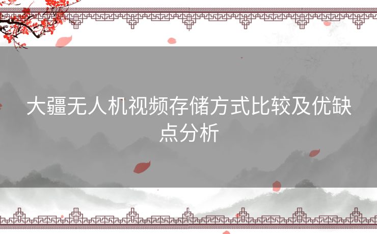 大疆无人机视频存储方式比较及优缺点分析
