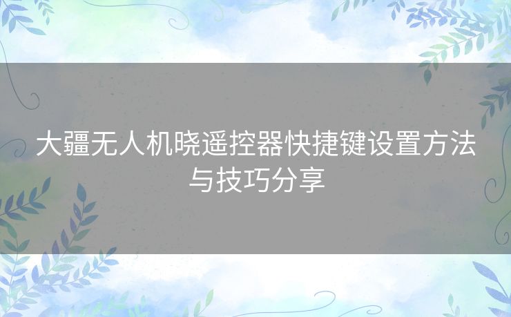 大疆无人机晓遥控器快捷键设置方法与技巧分享