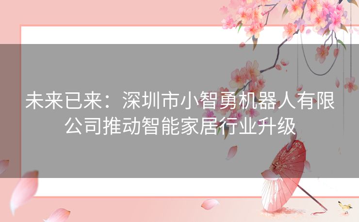 未来已来：深圳市小智勇机器人有限公司推动智能家居行业升级