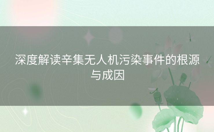 深度解读辛集无人机污染事件的根源与成因