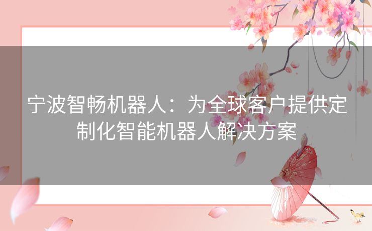 宁波智畅机器人：为全球客户提供定制化智能机器人解决方案