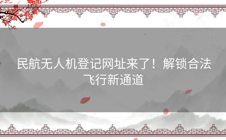 民航无人机登记网址来了！解锁合法飞行新通道