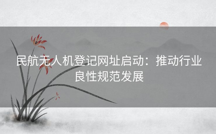 民航无人机登记网址启动：推动行业良性规范发展