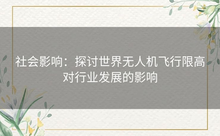 社会影响：探讨世界无人机飞行限高对行业发展的影响