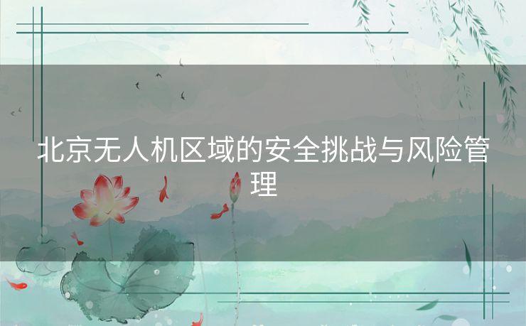 北京无人机区域的安全挑战与风险管理
