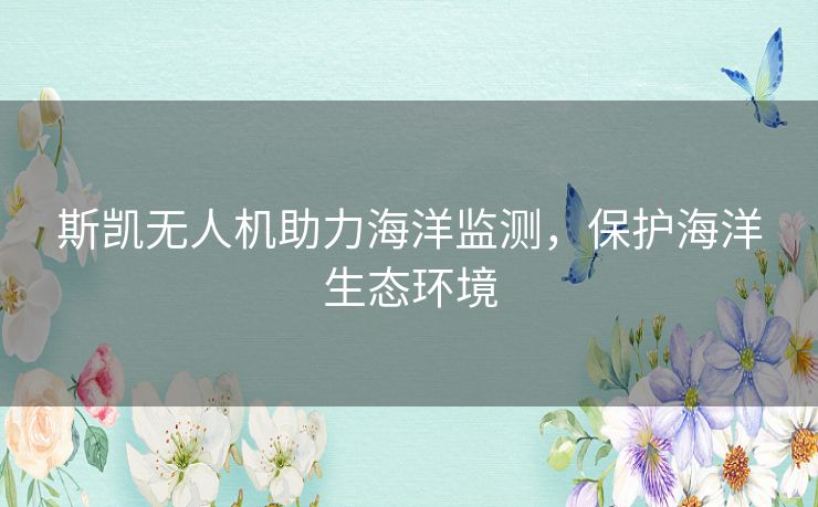 斯凯无人机助力海洋监测，保护海洋生态环境