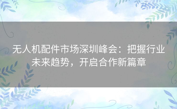 无人机配件市场深圳峰会：把握行业未来趋势，开启合作新篇章