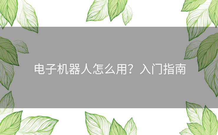 电子机器人怎么用？入门指南