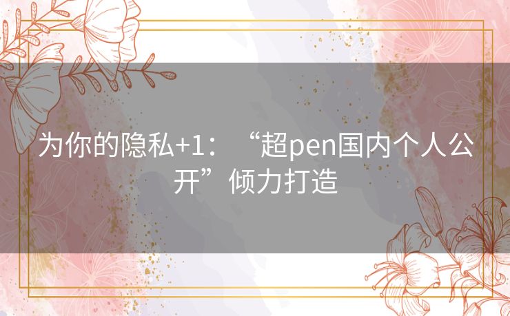 为你的隐私+1：“超pen国内个人公开”倾力打造