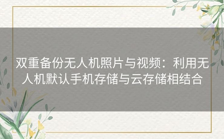 双重备份无人机照片与视频：利用无人机默认手机存储与云存储相结合