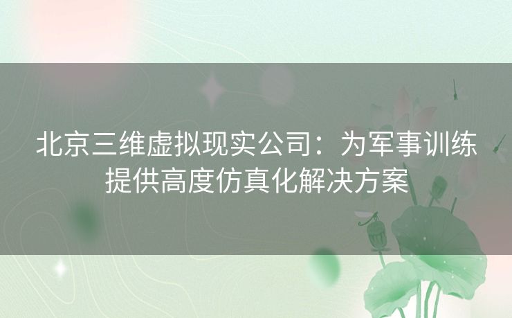北京三维虚拟现实公司：为军事训练提供高度仿真化解决方案