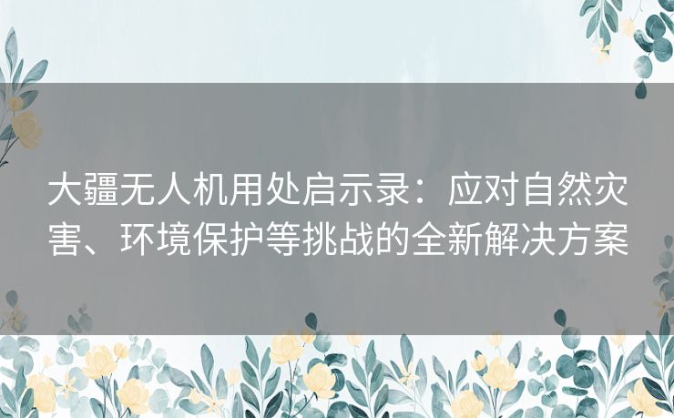 大疆无人机用处启示录：应对自然灾害、环境保护等挑战的全新解决方案