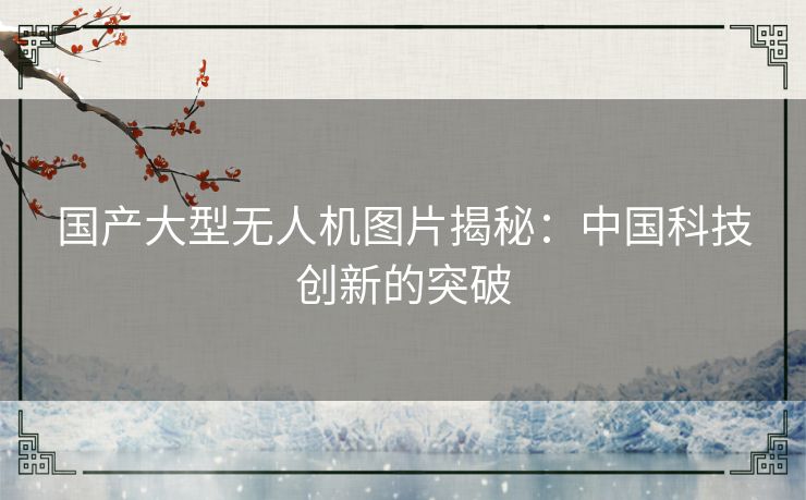 国产大型无人机图片揭秘：中国科技创新的突破