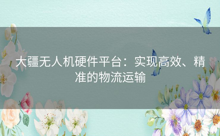 大疆无人机硬件平台：实现高效、精准的物流运输
