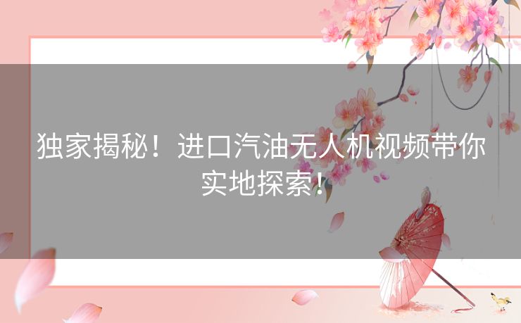 独家揭秘！进口汽油无人机视频带你实地探索！