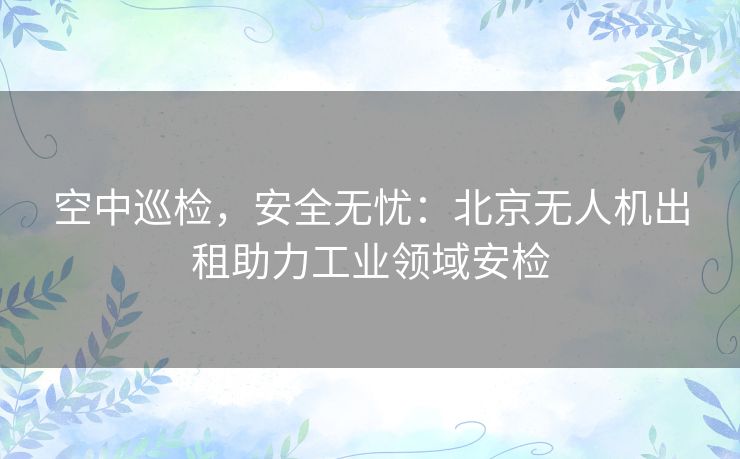 空中巡检，安全无忧：北京无人机出租助力工业领域安检