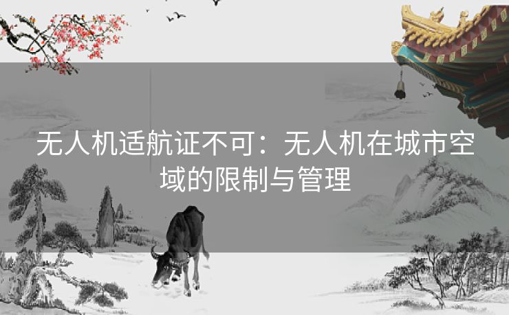 无人机适航证不可：无人机在城市空域的限制与管理