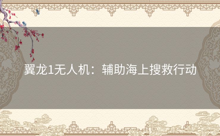 翼龙1无人机：辅助海上搜救行动