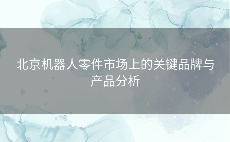 北京机器人零件市场上的关键品牌与产品分析