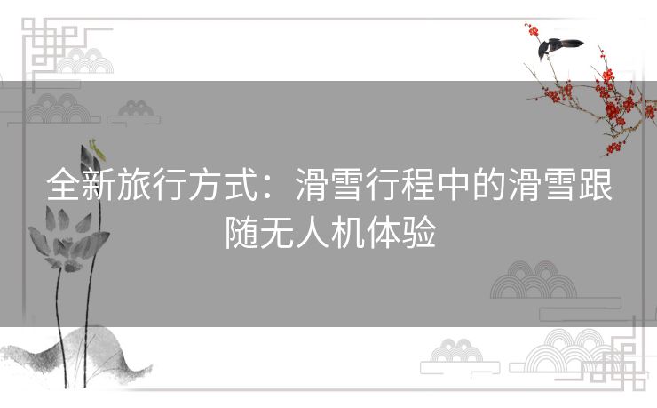 全新旅行方式：滑雪行程中的滑雪跟随无人机体验