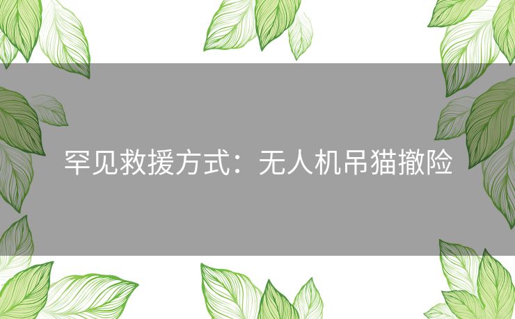 罕见救援方式：无人机吊猫撤险