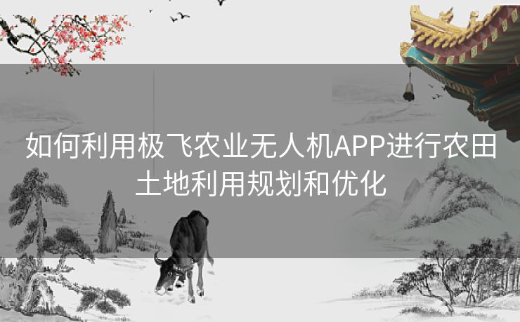 如何利用极飞农业无人机APP进行农田土地利用规划和优化
