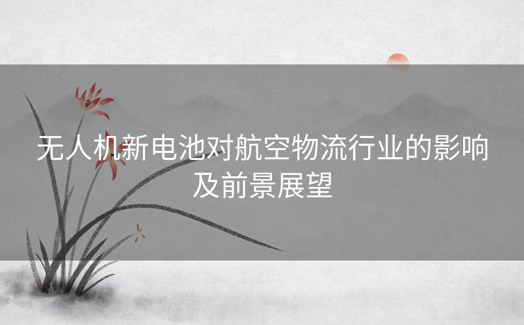 无人机新电池对航空物流行业的影响及前景展望