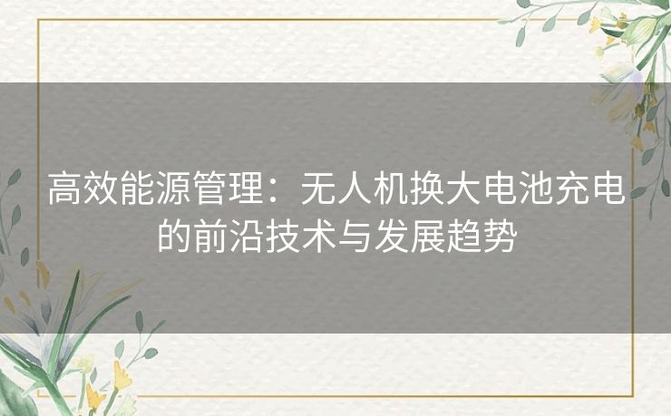 高效能源管理：无人机换大电池充电的前沿技术与发展趋势