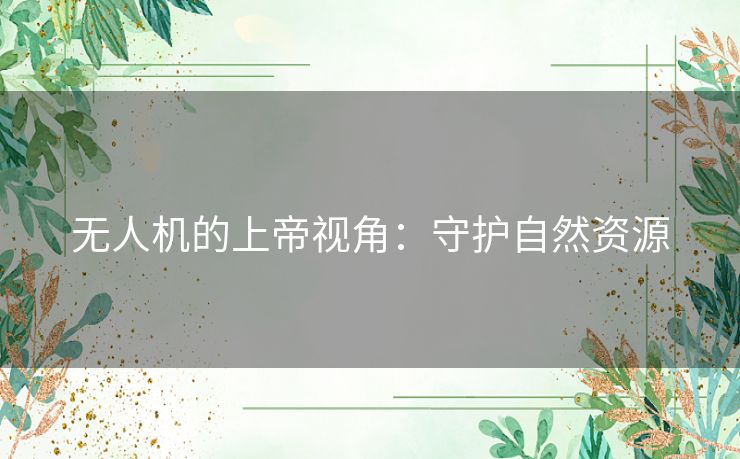 无人机的上帝视角：守护自然资源