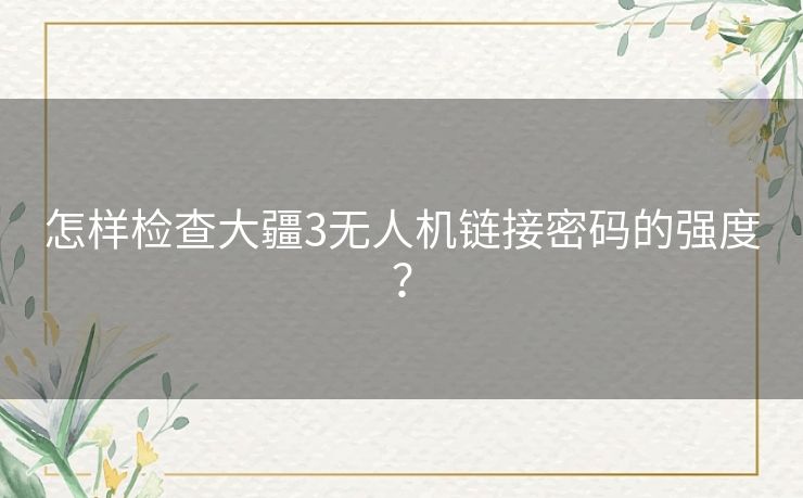 怎样检查大疆3无人机链接密码的强度？