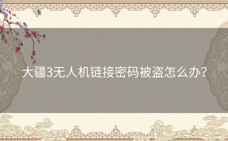大疆3无人机链接密码被盗怎么办？