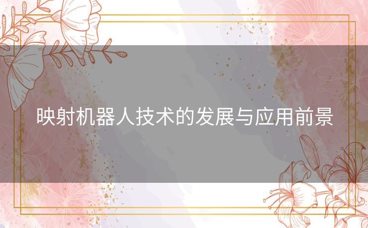 映射机器人技术的发展与应用前景