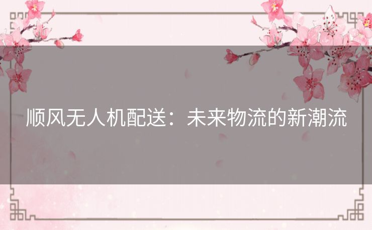 顺风无人机配送：未来物流的新潮流