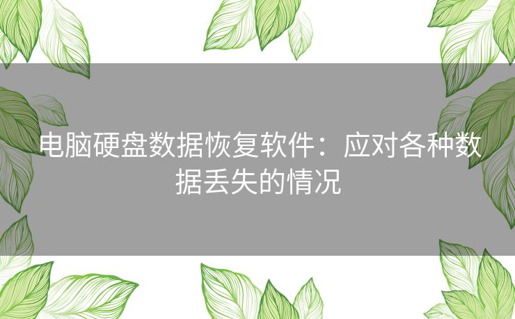 电脑硬盘数据恢复软件：应对各种数据丢失的情况