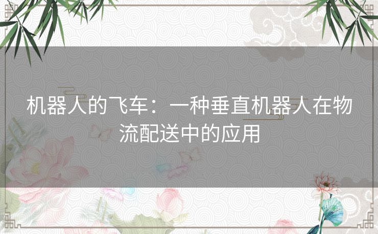 机器人的飞车：一种垂直机器人在物流配送中的应用