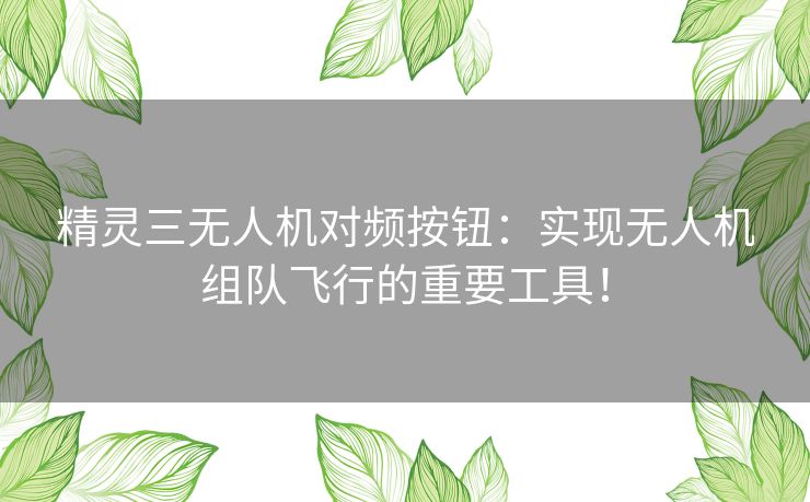 精灵三无人机对频按钮：实现无人机组队飞行的重要工具！