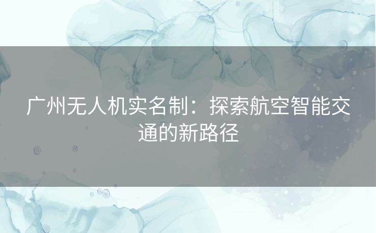 广州无人机实名制：探索航空智能交通的新路径