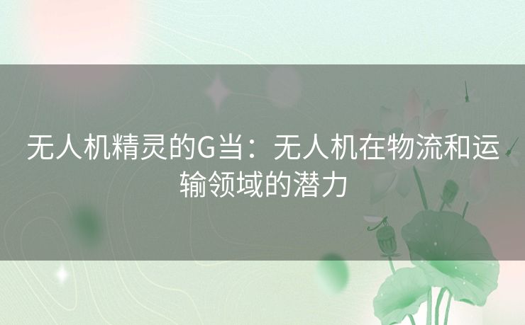 无人机精灵的G当：无人机在物流和运输领域的潜力