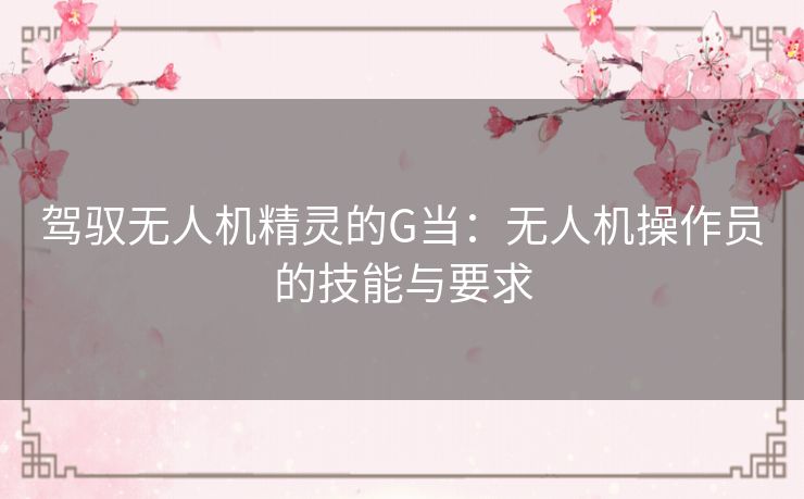 驾驭无人机精灵的G当：无人机操作员的技能与要求