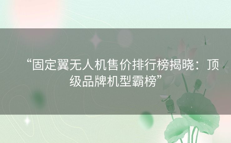 “固定翼无人机售价排行榜揭晓：顶级品牌机型霸榜”