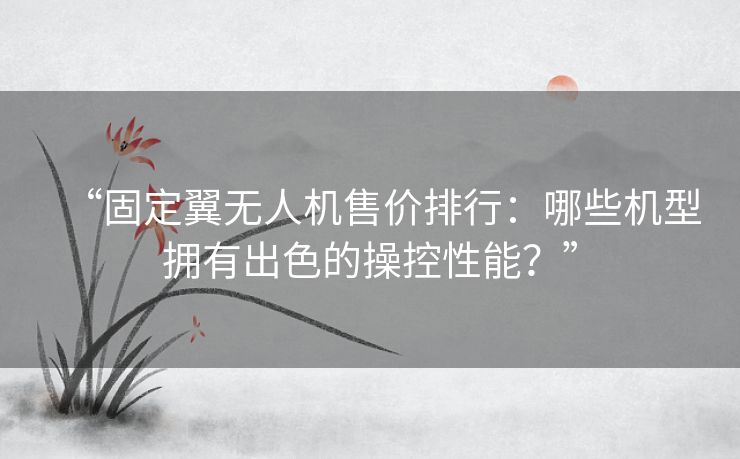 “固定翼无人机售价排行：哪些机型拥有出色的操控性能？”