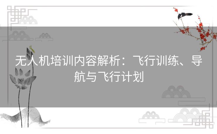 无人机培训内容解析：飞行训练、导航与飞行计划