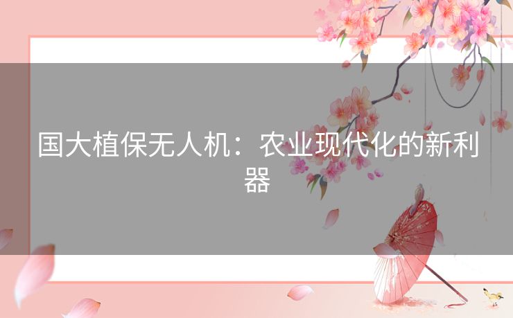 国大植保无人机：农业现代化的新利器