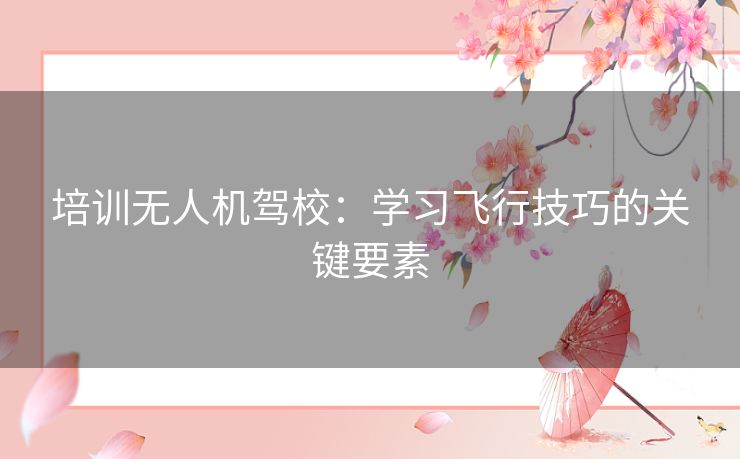 培训无人机驾校：学习飞行技巧的关键要素