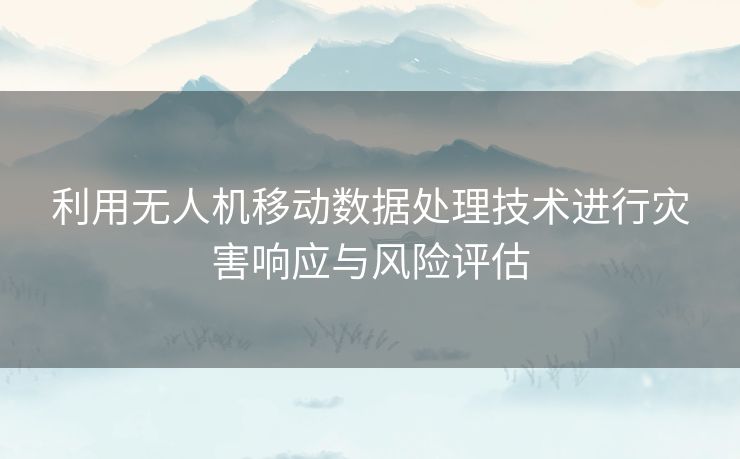 利用无人机移动数据处理技术进行灾害响应与风险评估