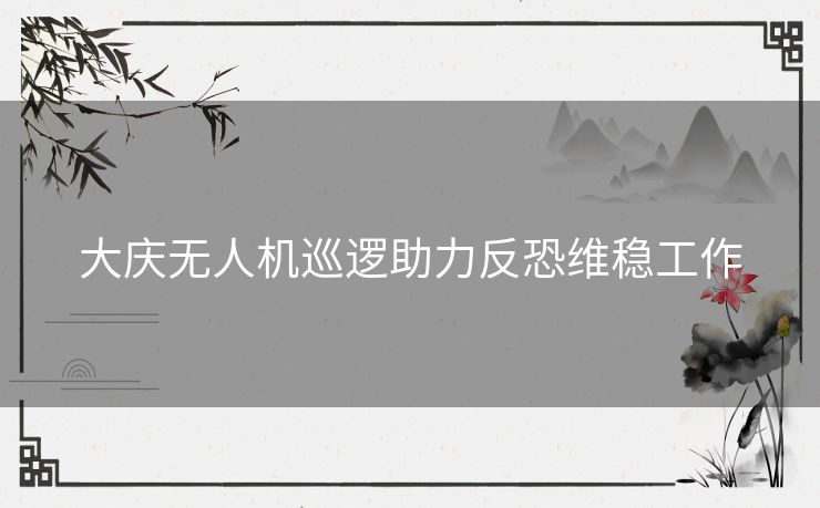 大庆无人机巡逻助力反恐维稳工作