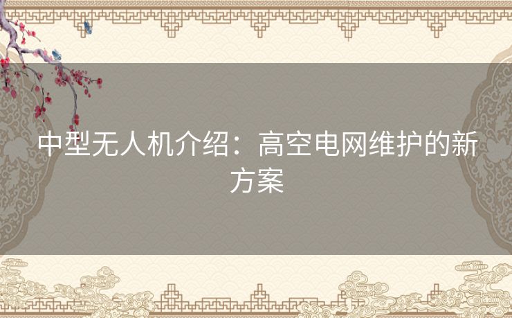 中型无人机介绍：高空电网维护的新方案